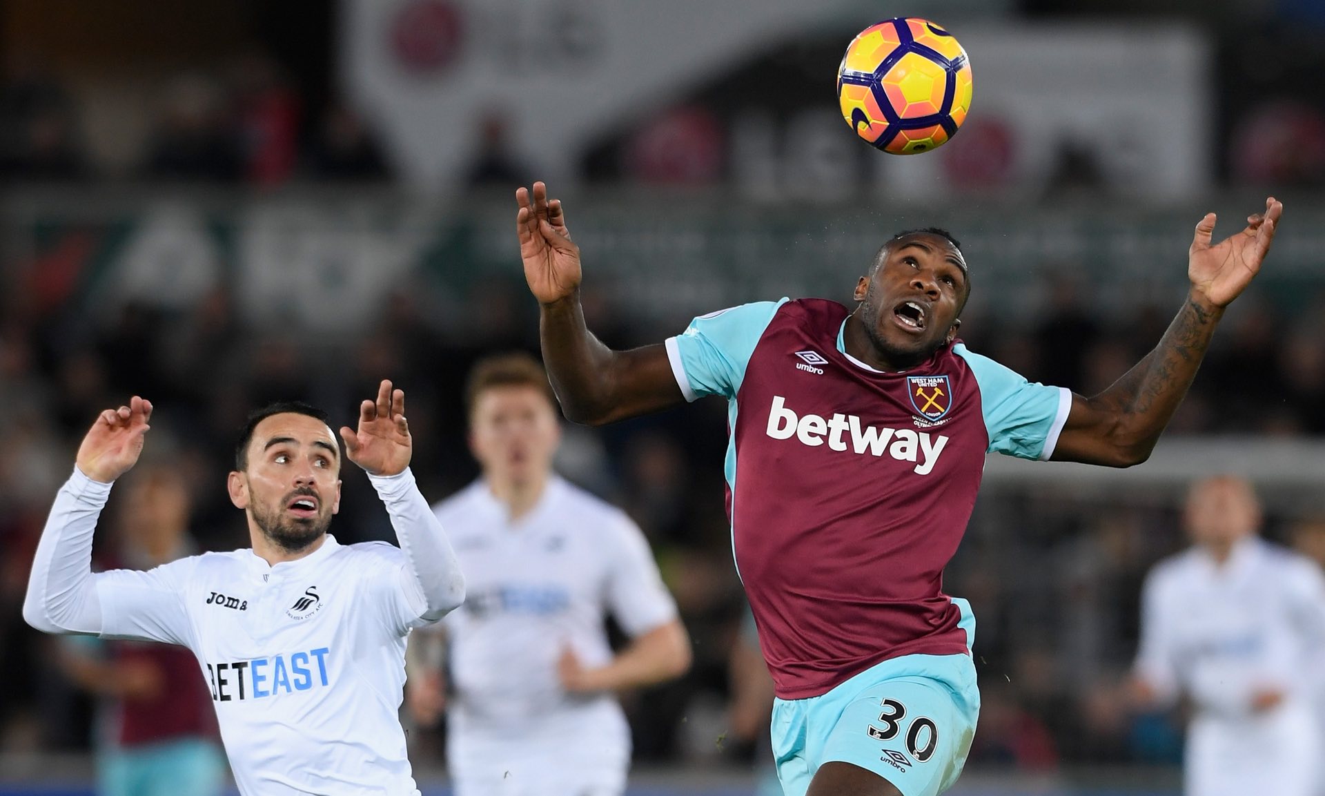 对帕纳辛奈 对帕纳辛奈